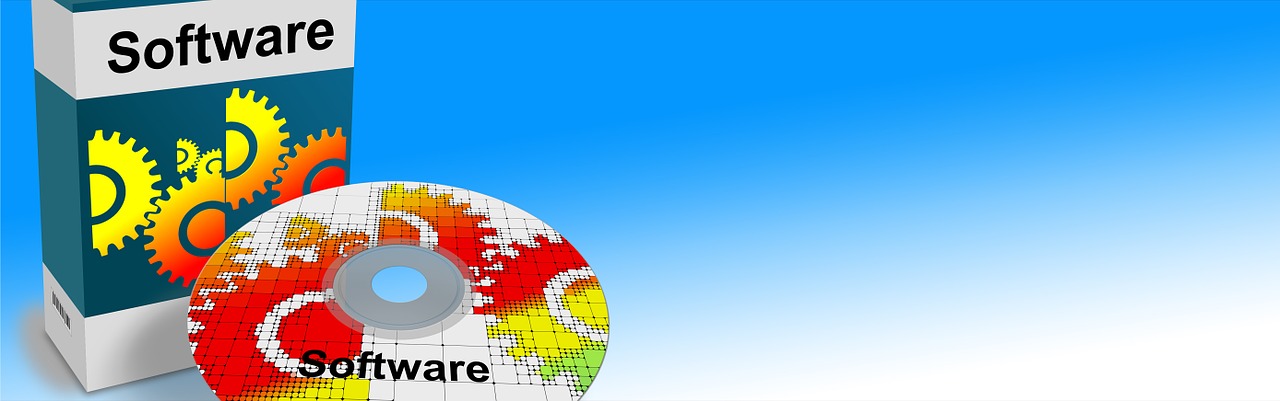 software-80